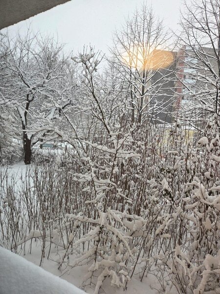 Calea Bucuresti, apartament 2 camere, parter (inalt), recent renovat,.